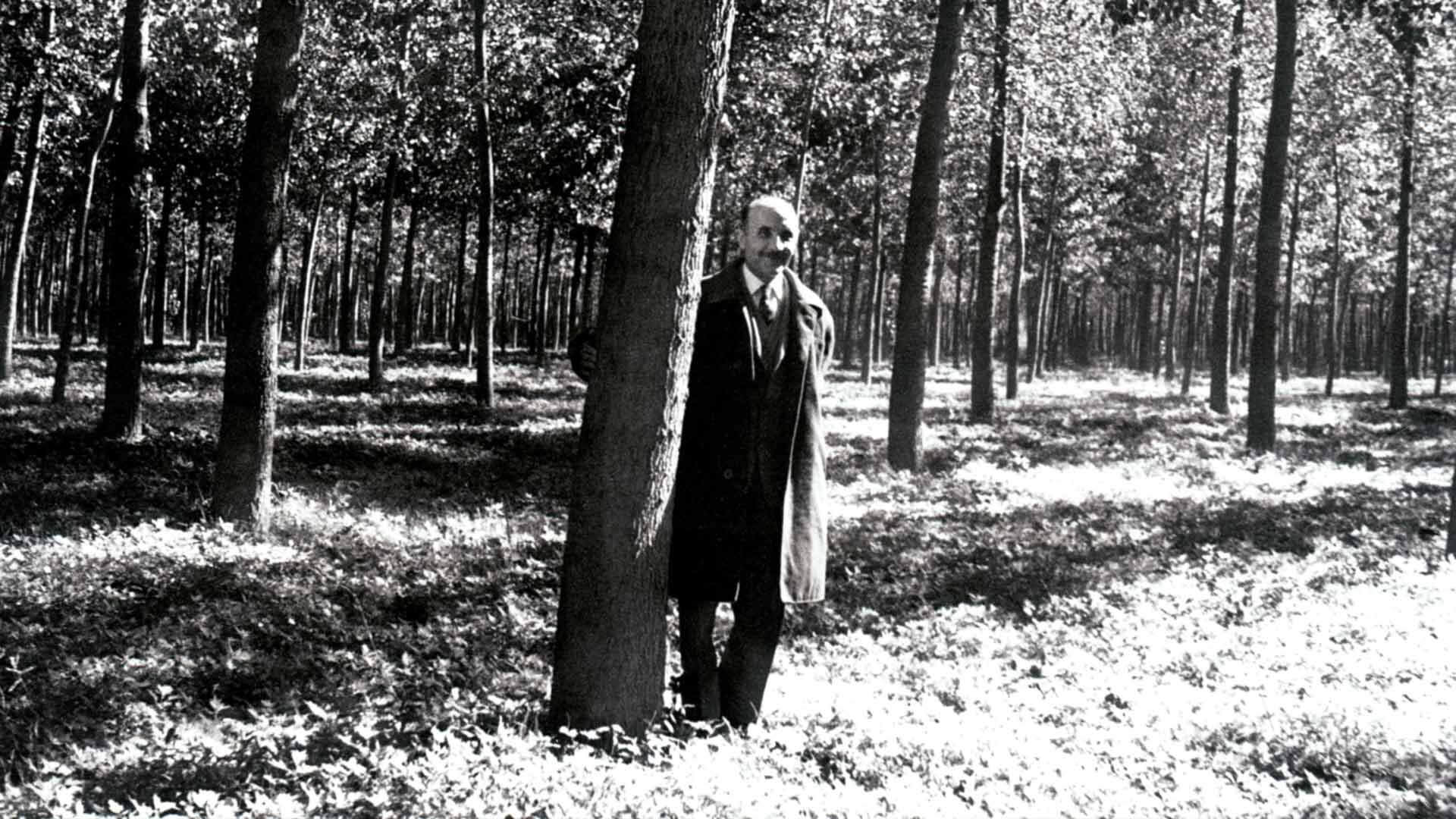 Professor Guglielmo Giordano, auf dessen Idee das Mehrschichtparkett von 1984 zurueckgeht